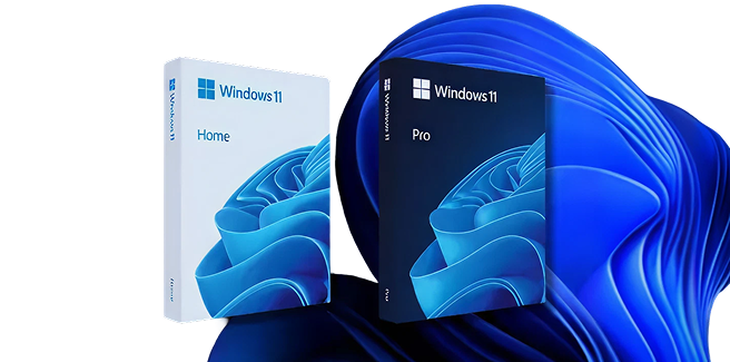 License chính hãng Microsoft